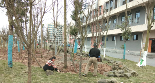 绿化2_meitu_1.jpg